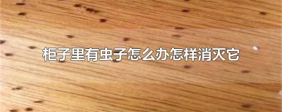 ​怎样防止衣柜里生虫 怎么防止木柜子长虫