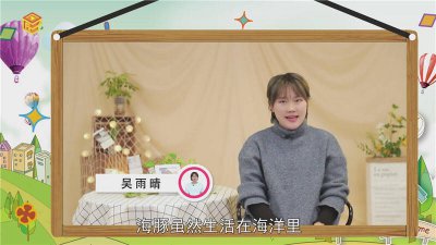 ​海豚是鱼吗?那是什么? 海豚是鱼吗?视频