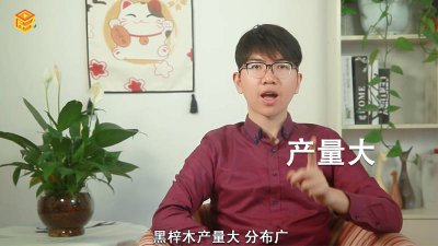 ​黑梓木原木 黑檀木和黑梓木哪个价格贵一些