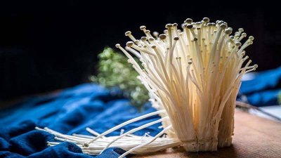 ​金针菇可以放多久常温 金针菇在常温下可以放多久