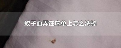 ​床单有蚊子的血迹怎么清洗好 被单有蚊子血怎么洗