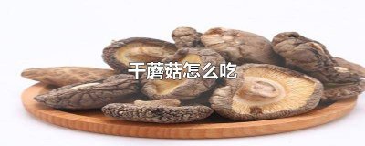 ​干蘑菇怎么吃怎么做好吃 干蘑菇怎么吃一
