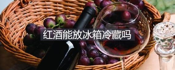 红酒开过以后能放冰箱吗