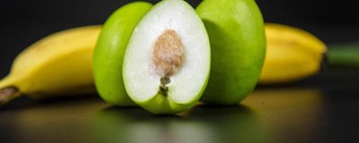 ​西梅在哪个季节成熟