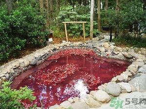 温泉度假村哪里好？泡温泉去哪里最好？