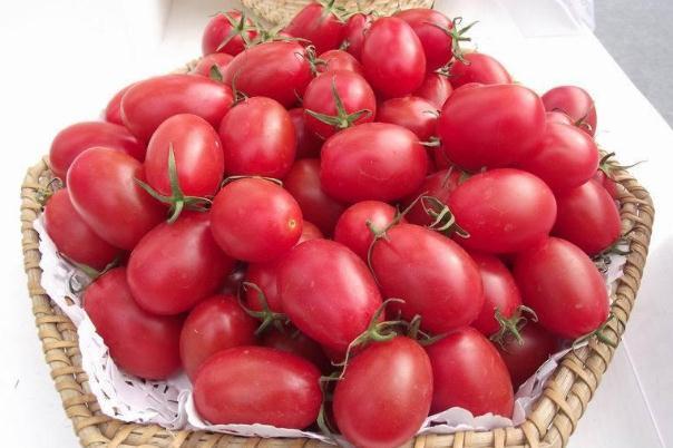 圣女果孕妇可以吃吗 圣女果孕妇吃多了好吗 圣女果孕妇可以吃吗 圣女果孕妇吃多了好吗