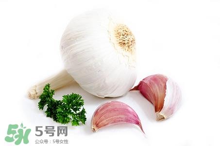 大蒜的根能吃吗?大蒜根的功效作用