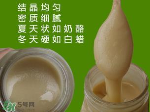 冬蜜是什么蜜？冬蜜的功效与作用