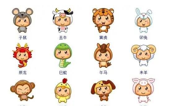 网络配图 网络配图