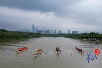 ​端午临近，“藏龙”唤醒！广州多区举行龙船“起龙”仪式
