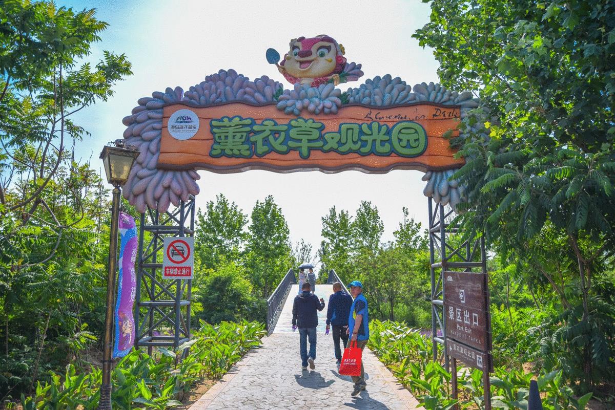 中国唯一海洋温泉景区,藏着东方海上普罗旺斯