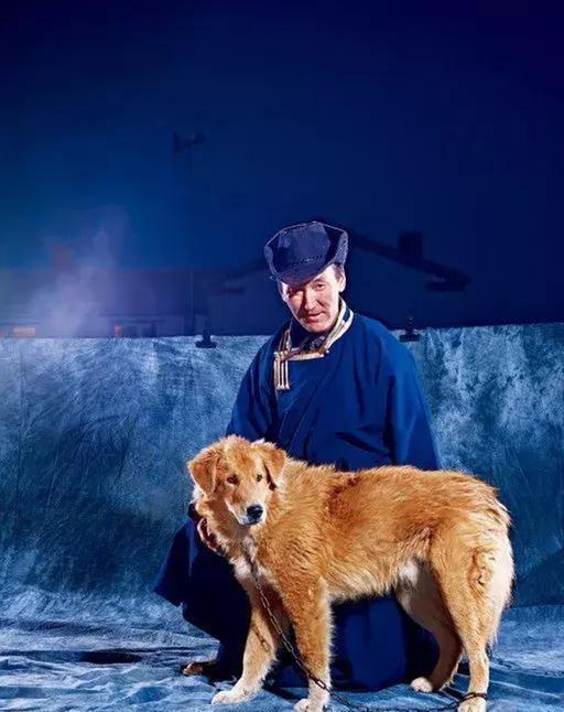 中国十大优秀猎犬排行榜,秒杀国外宠物狗十几条街,你都见过吗?