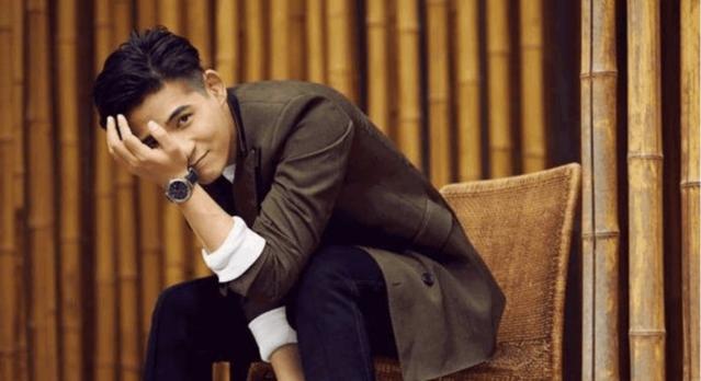 中国十大帅哥男明星排行榜, 有你喜欢的吗?