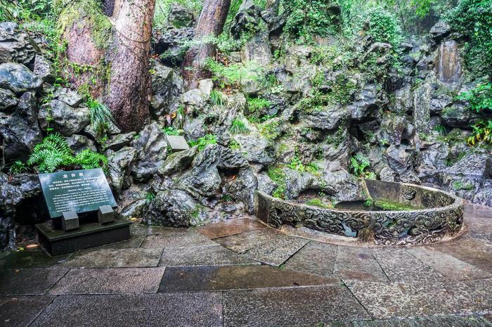 传说中的十八棵御龙井