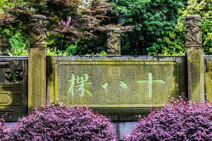 传说中的十八棵御龙井