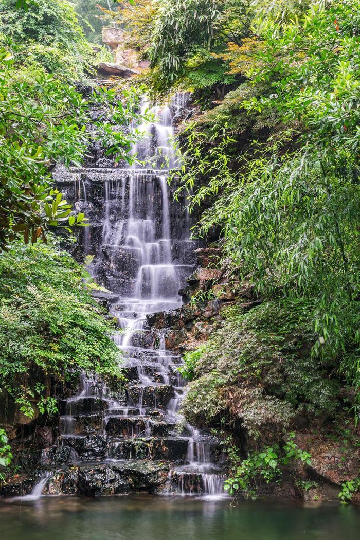 传说中的十八棵御龙井