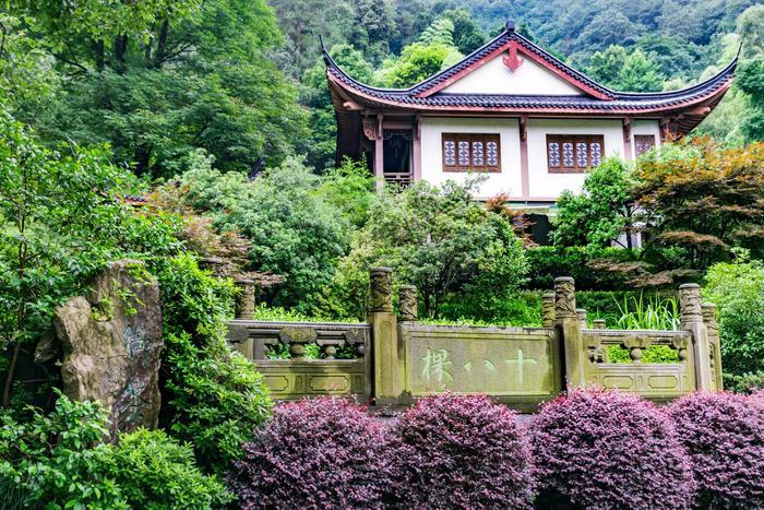 传说中的十八棵御龙井