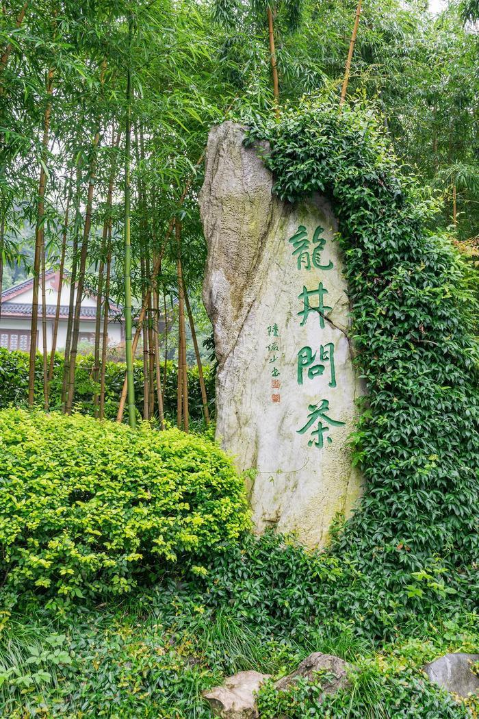 传说中的十八棵御龙井