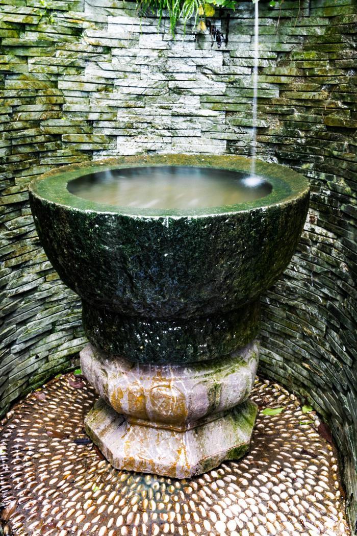 传说中的十八棵御龙井