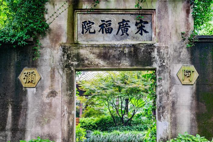 传说中的十八棵御龙井