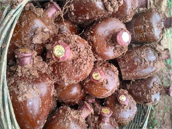 中国十大预言书，预言之事与后世吻合