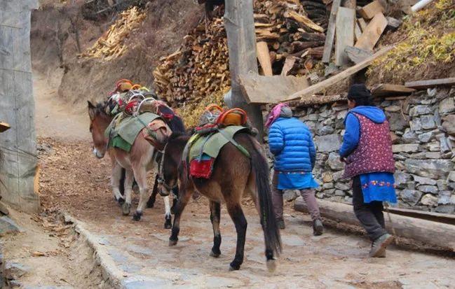 中国唯一“一女侍二夫”的村,兄弟轮岗,却被称为最纯洁的仙境