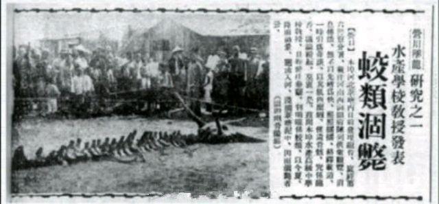 中国十大传闻之一，1934年营口坠龙事件完整揭秘始末