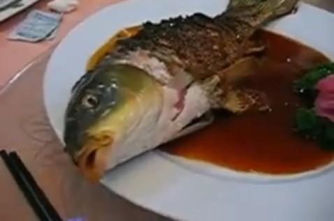 传说中的中国十大残忍菜,你听过几个?