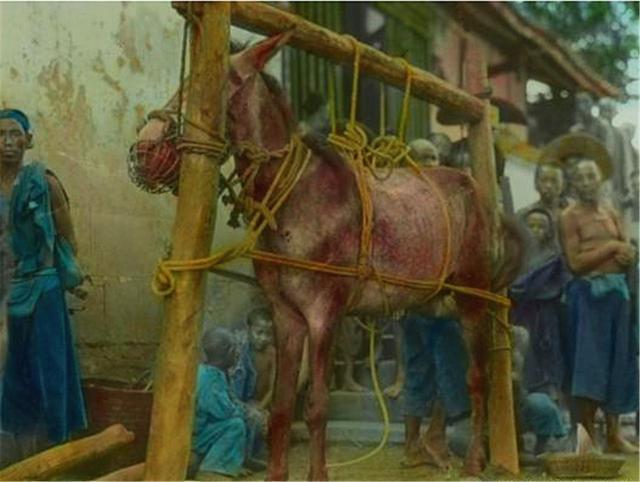 传说中的中国十大残忍菜,你听过几个?