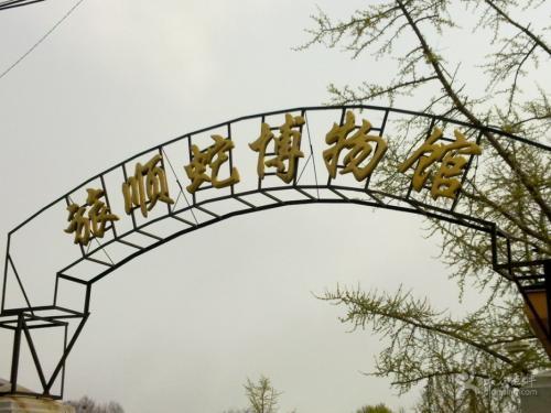 中国唯一蛇岛，2万条剧毒蛇生活，毒蛇喝水方式居然靠人工送水