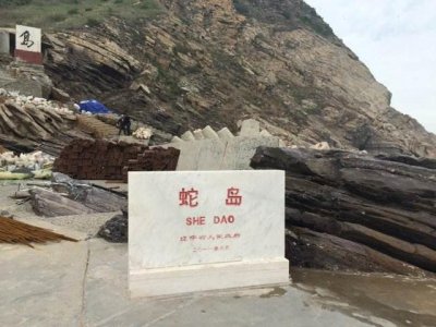 ​中国唯一蛇岛，2万条剧毒蛇生活，毒蛇喝水方式居然靠人工送水