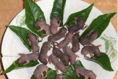 中国十大最残忍禁菜,这样“美味”你忍心吃?