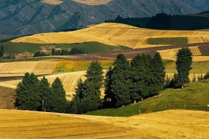 中国唯一的沙漠城市,被称为“活着的楼兰”,如今成影视取景地