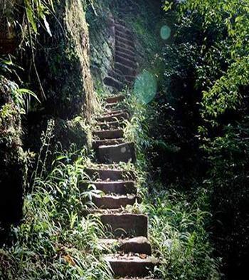 重庆夫妻隐居深山50年，丈夫临终前紧紧攥住妻子的手，难以分开