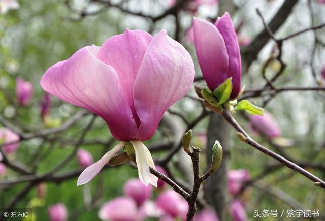 26首经典回文诗词，精妙绝伦，令人叹为观止，拍案叫绝值得一读