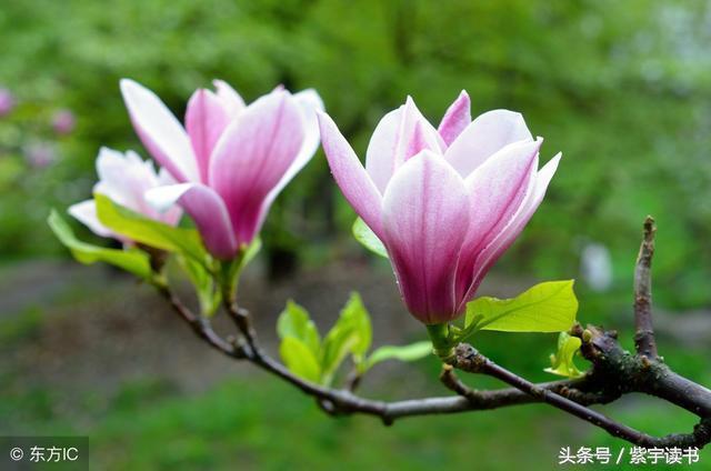 26首经典回文诗词，精妙绝伦，令人叹为观止，拍案叫绝值得一读