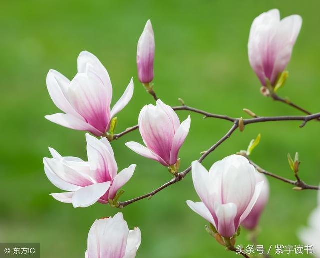 26首经典回文诗词，精妙绝伦，令人叹为观止，拍案叫绝值得一读