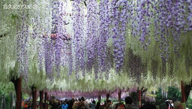 南京有个地方叫六合！未来，这里将在全国出名！