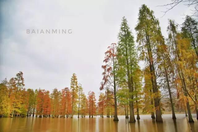 南京有个地方叫六合！未来，这里将在全国出名！