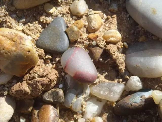 南京有个地方叫六合！未来，这里将在全国出名！