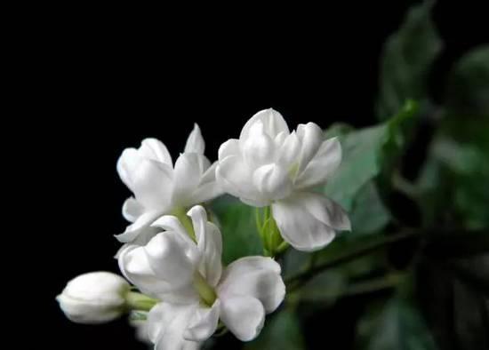 南京有个地方叫六合！未来，这里将在全国出名！