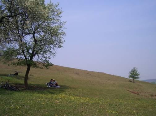 南京有个地方叫六合！未来，这里将在全国出名！