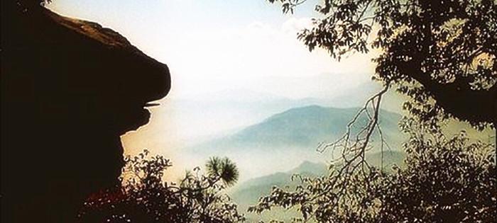 这座山像一只雄狮, 武定狮子山爬山、赏花记