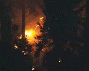 美国又发生机场偷走飞机事件 曝航空公司地勤职员偷飞机坠毁视频