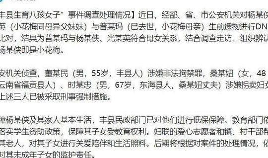 徐州丰县小三(徐州沛县小三)