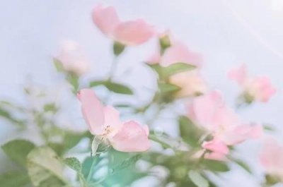 ​武则天墓地为什么一直未被打开五大武则天墓不敢挖的真相