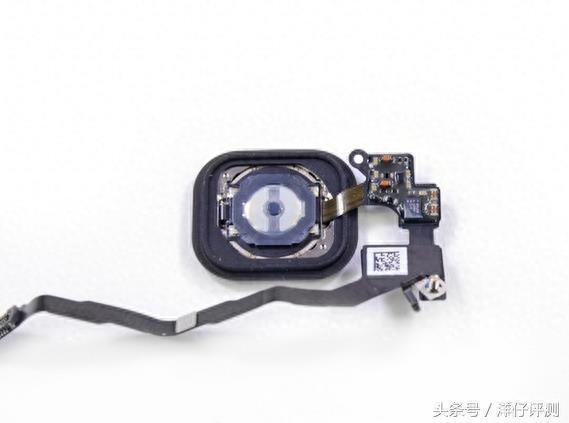 iPhone 5s 拆解图文欣赏