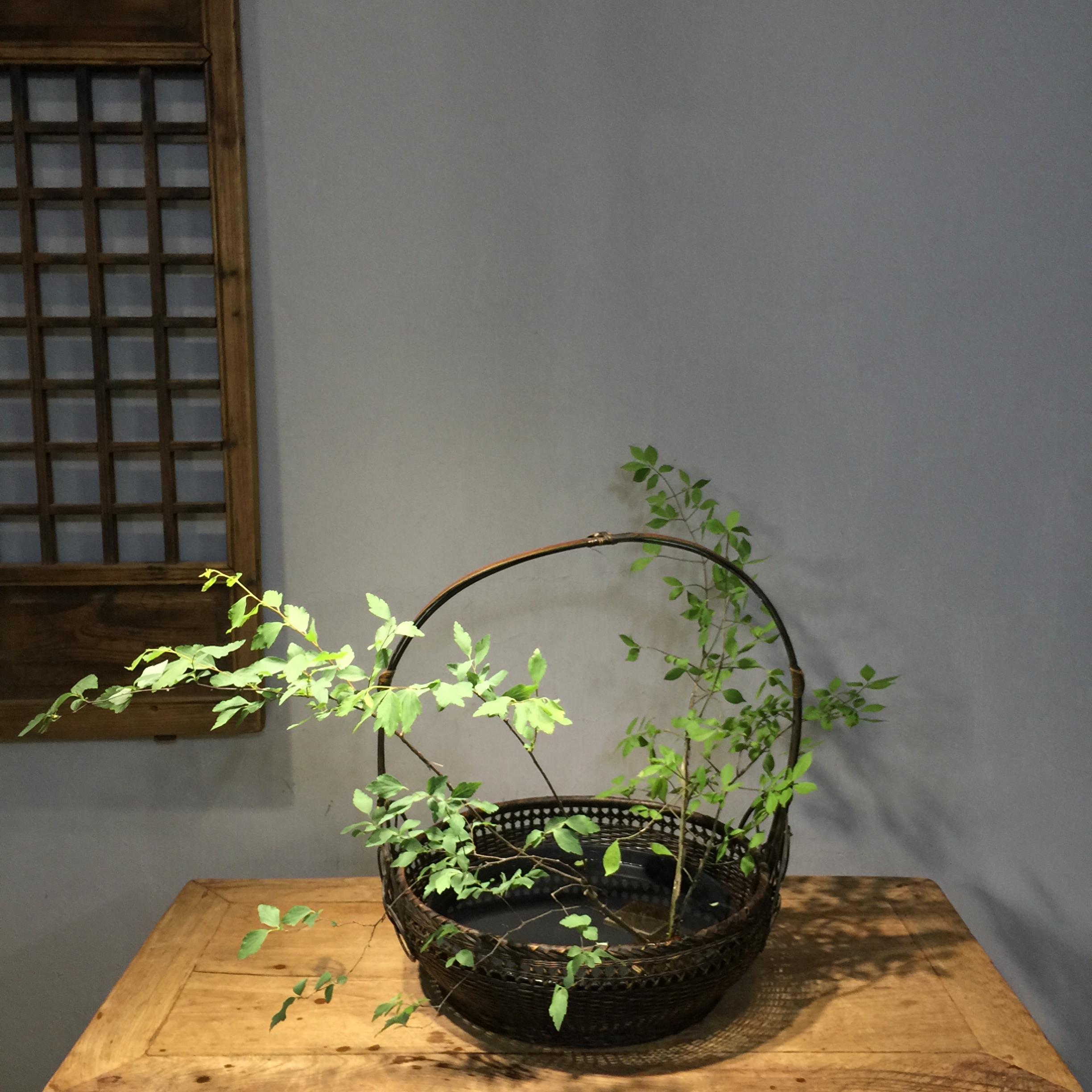 手把手教你插花之篮花篇：踏青的野花这样插在篮子里，你看了就会