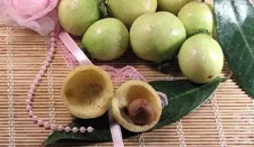 你见过这种水果吗?蒲桃……