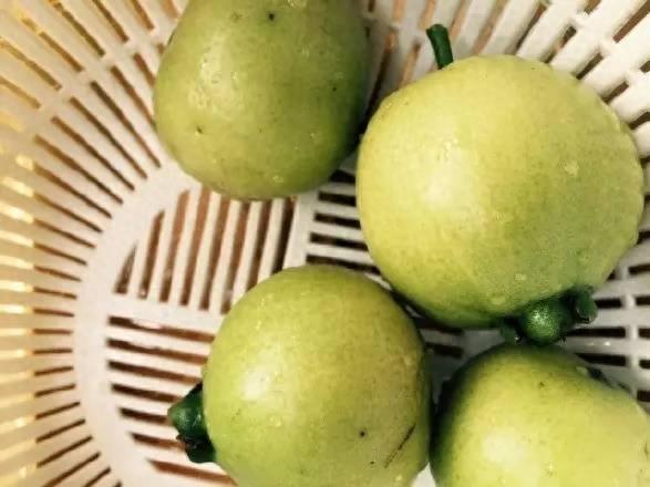 你见过这种水果吗?蒲桃……